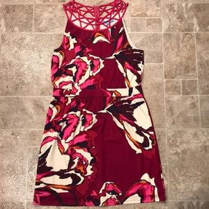 Beautiful Antonio Melani Dress